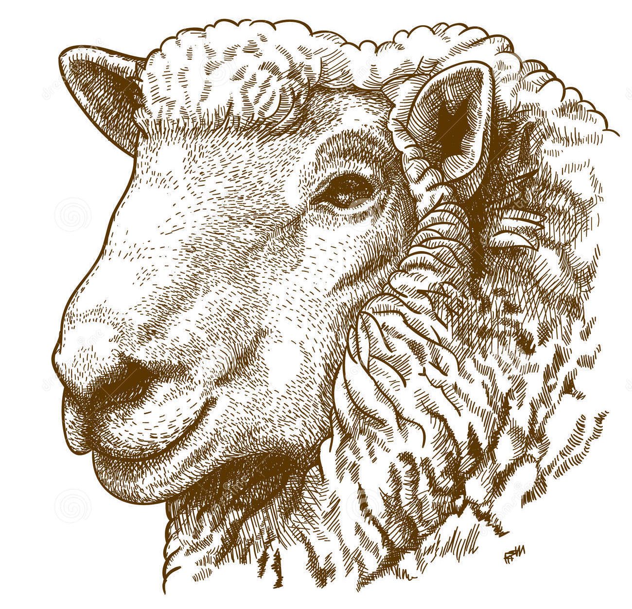 lamb – NOCCA Foundation