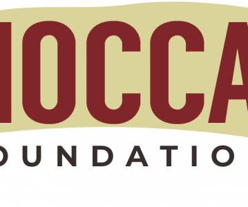 NOCCA Foundation now accepting applications for Executive Director position